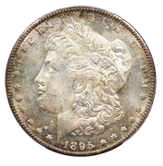 1895 morgan